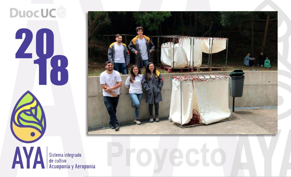 • Proyecto AYA / 2018 (Etapa 1)