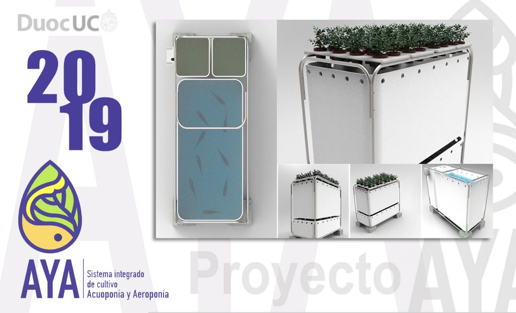 • Proyecto AYA / 2019 (Etapa 2)