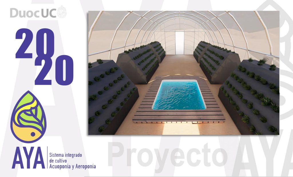 • Proyecto AYA / 2020 (Etapa 3)