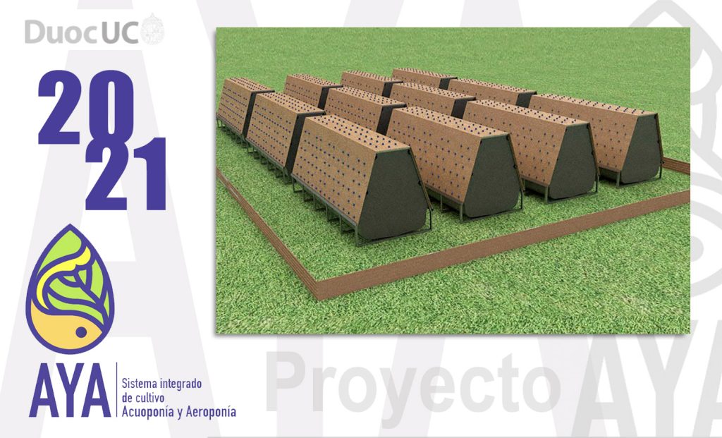• Proyecto AYA / 2021 (Etapa 4)