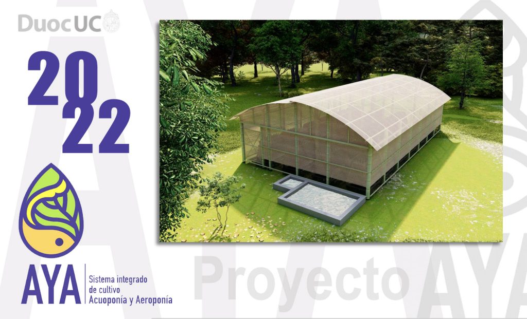 • Proyecto AYA / 2022 (Etapa 5)