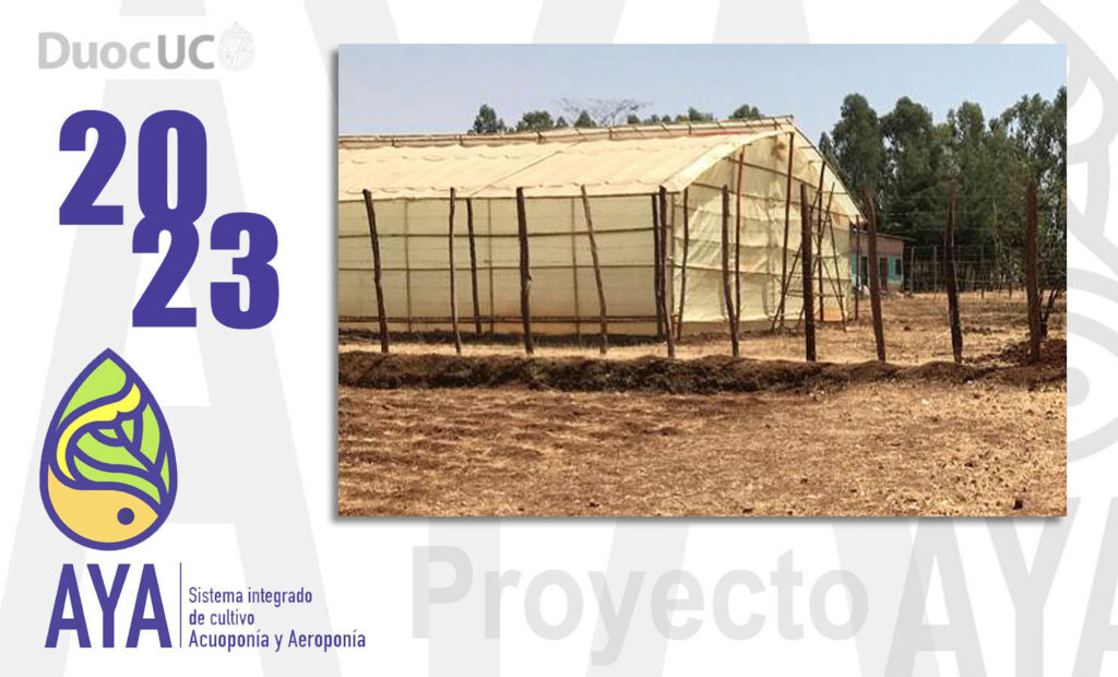 • Proyecto AYA / 2023 (Etapa 6)